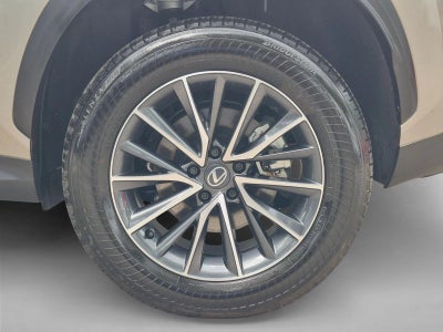 2026 Lexus NX AWD