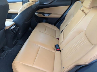 2024 Lexus NX 350h Premium AWD