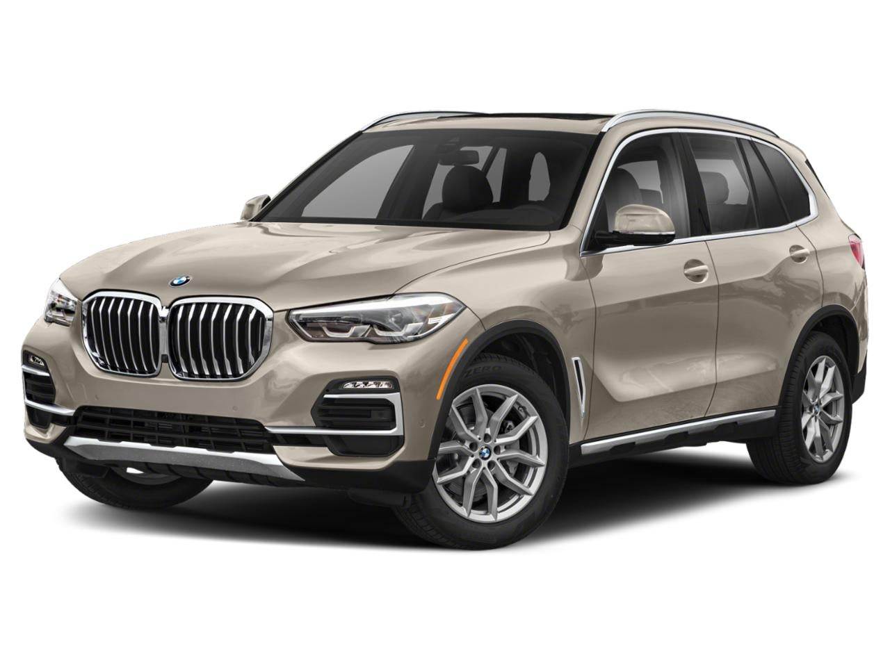 2019 BMW X5 xDrive40i Sports Activity Vehicle