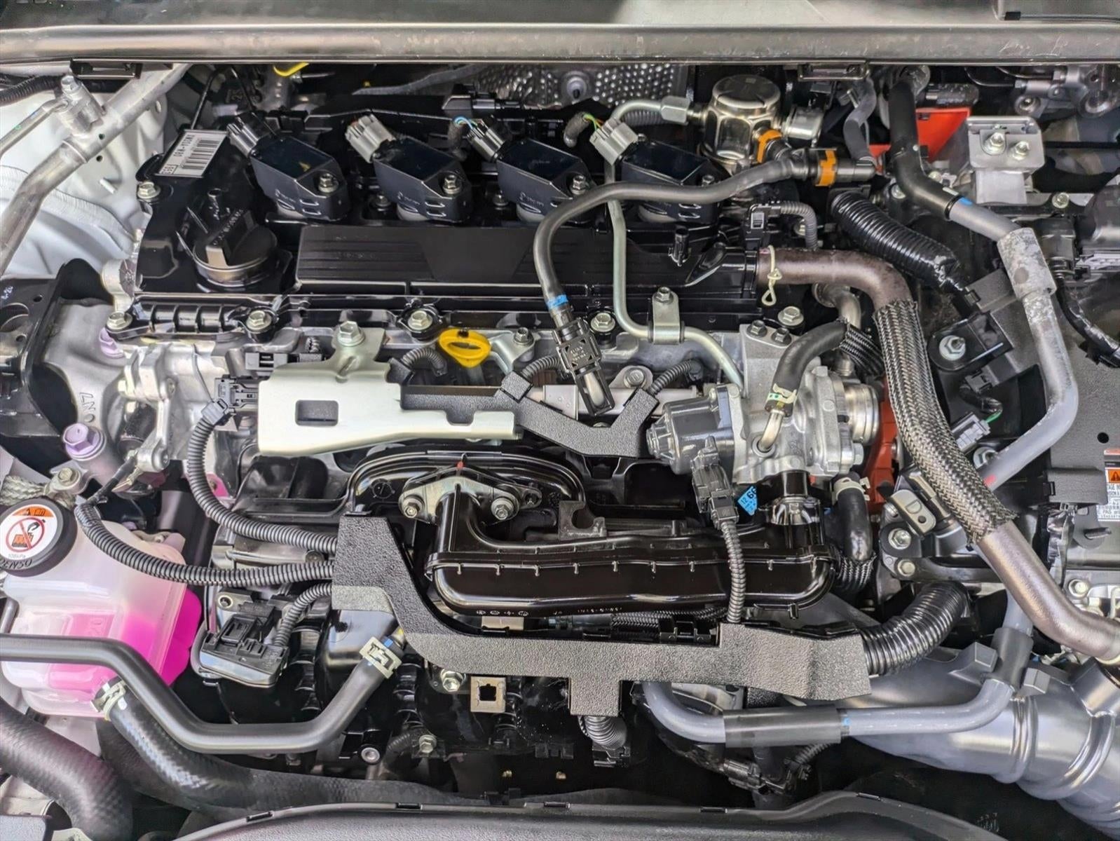 2023 Toyota Prius XLE (Natl)