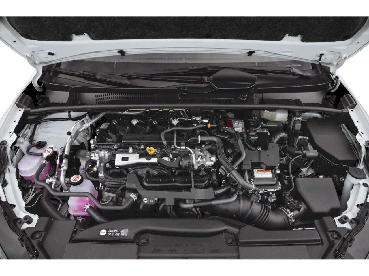 2023 Toyota Prius XLE (Natl)