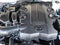 2023 Toyota 4Runner SR5 Premium 4WD (Natl)