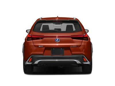 2019 Lexus UX 250h F SPORT AWD