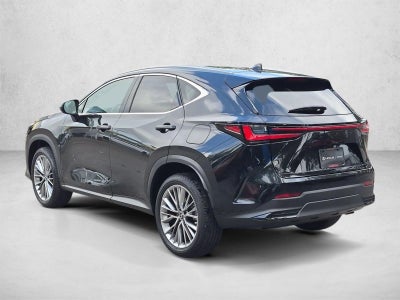 2025 Lexus NX 350h Premium AWD