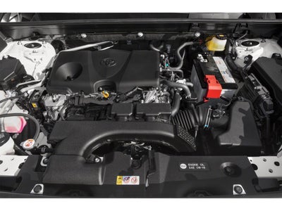2019 Toyota RAV4 XLE FWD (GS)