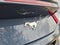 2024 Ford Mustang EcoBoost Premium Convertible