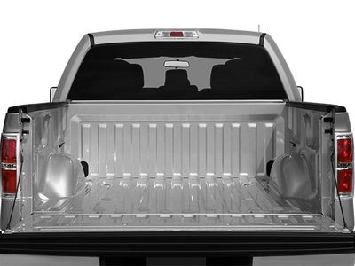 2013 Ford F-150 2WD SuperCrew 5-1/2 Ft Box Platinum