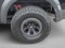 2023 Ford F-150 Raptor 4WD SuperCrew 5.5' Box