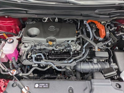 2025 Toyota Sienna LE AWD 8-Passenger (Natl)