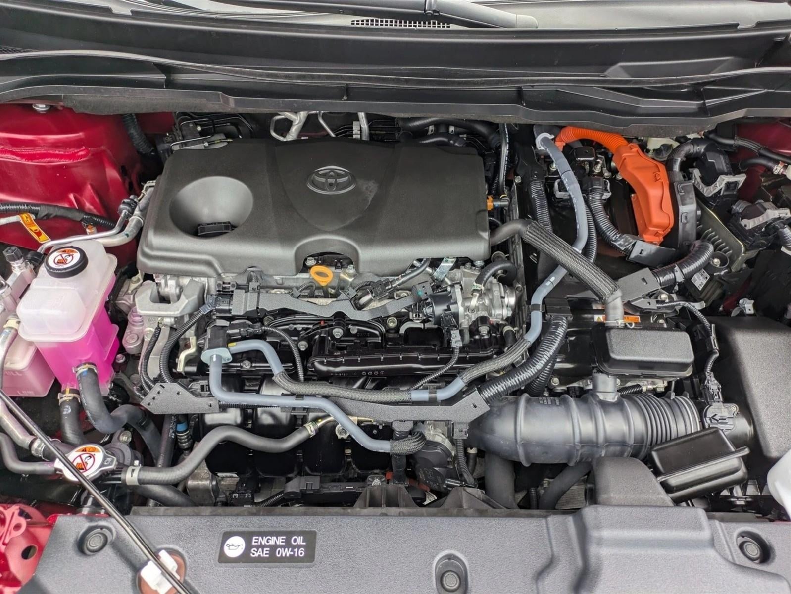 2025 Toyota Sienna LE AWD 8-Passenger (Natl)
