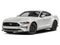 2019 Ford Mustang GT Fastback