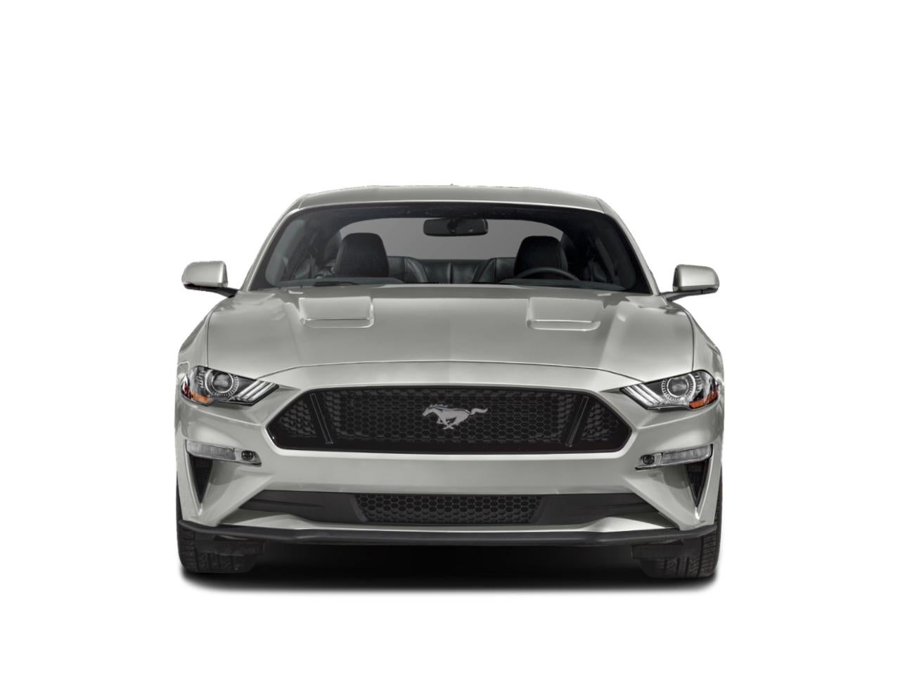 2019 Ford Mustang GT Fastback