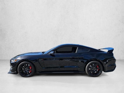 2019 Ford Mustang Shelby GT350R Fastback
