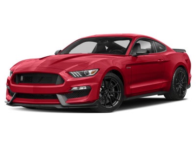 2019 Ford Mustang Shelby GT350R Fastback