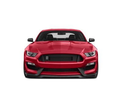 2019 Ford Mustang Shelby GT350R Fastback