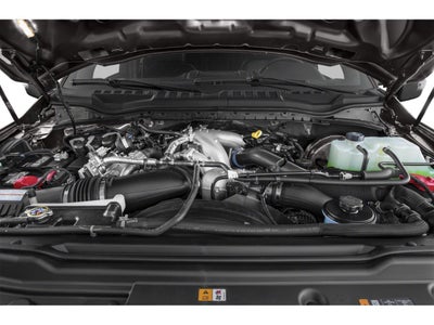 2021 Ford Super Duty F-250 SRW Platinum 4WD Crew Cab 6.75' Box