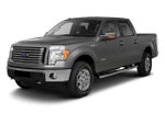2010 Ford F-150 2WD SuperCrew 5-1/2 Ft Box XLT