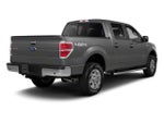 2010 Ford F-150 2WD SuperCrew 5-1/2 Ft Box XLT