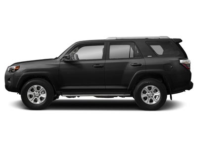 2019 Toyota 4Runner SR5 2WD (Natl)