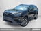 2020 Toyota RAV4 XLE Premium AWD (Natl)