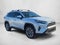 2025 Toyota RAV4 XLE Premium FWD (Natl)