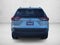 2019 Toyota RAV4 XLE Premium FWD (Natl)