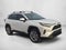 2024 Toyota RAV4 XLE Premium FWD (Natl)