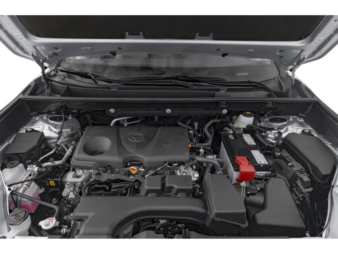 2025 Toyota RAV4 XLE FWD (Natl)