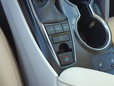 2019 Toyota Camry XLE Auto (SE)
