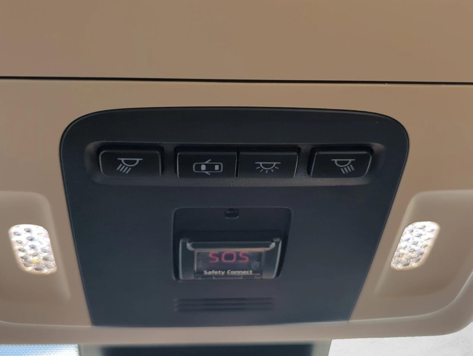 2019 Toyota Camry XLE Auto (SE)