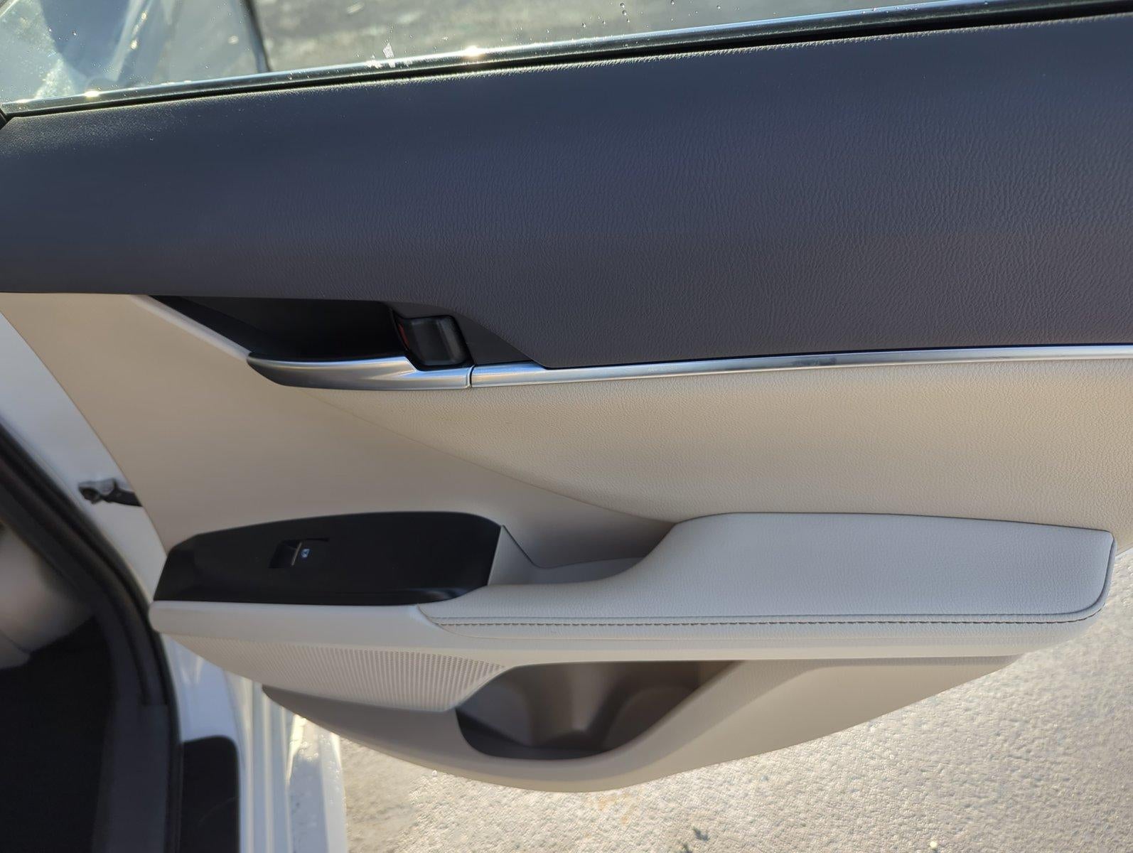 2019 Toyota Camry XLE Auto (SE)