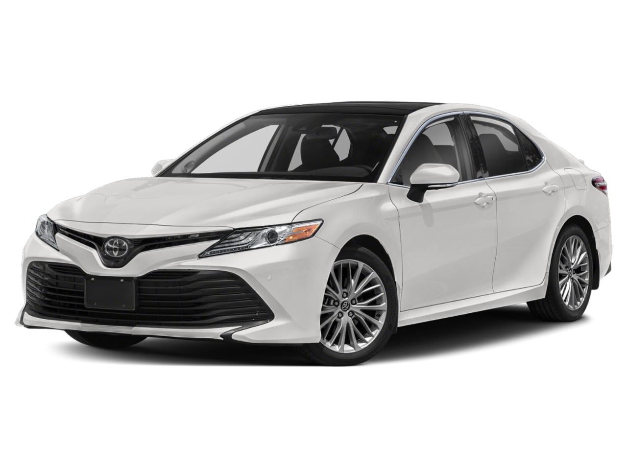 2019 Toyota Camry XLE Auto (SE)
