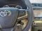 2017 Toyota Camry XLE Auto (SE)