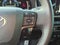 2025 Toyota Camry SE (Natl)