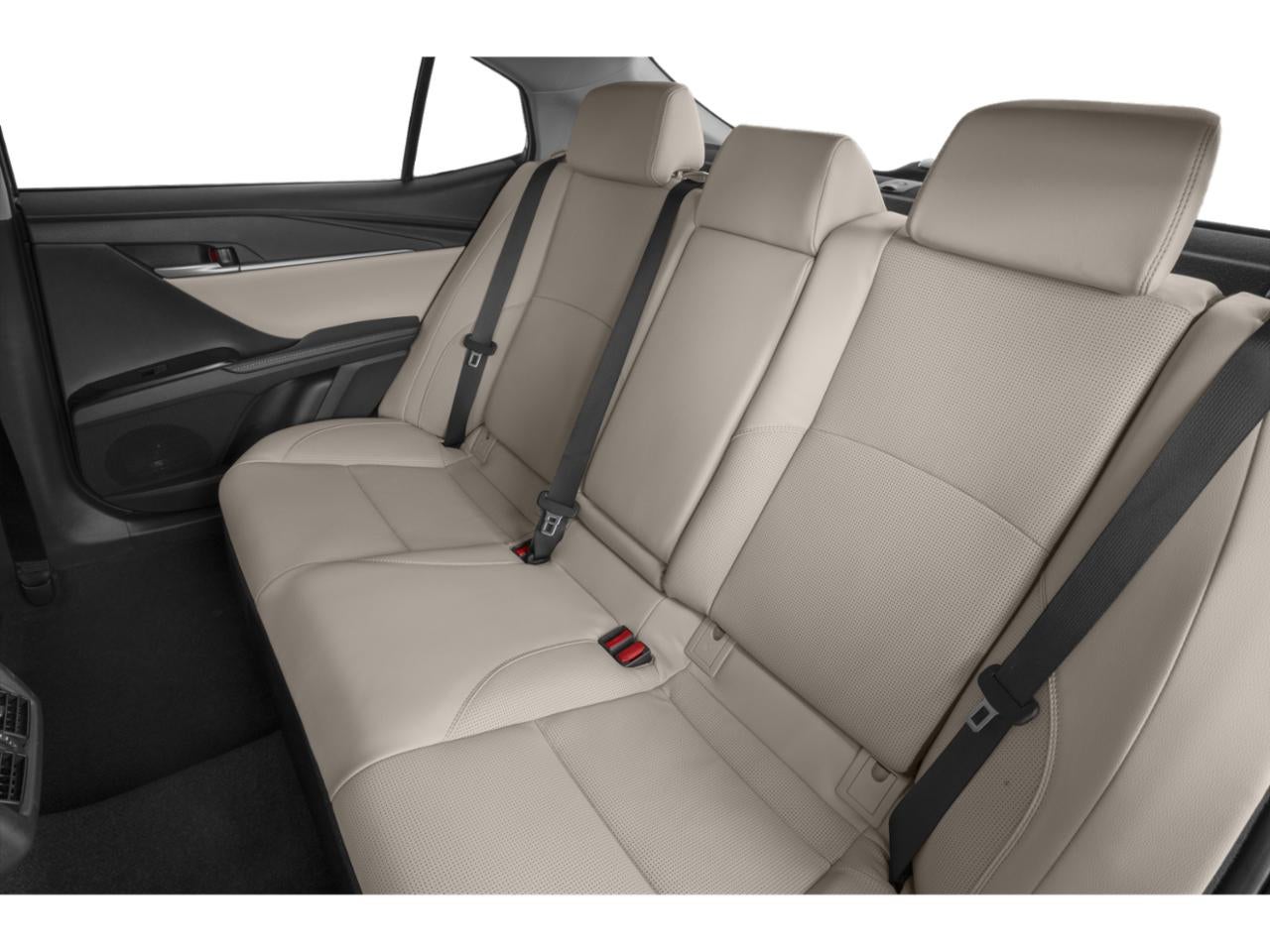 2025 Toyota Camry XLE (Natl)