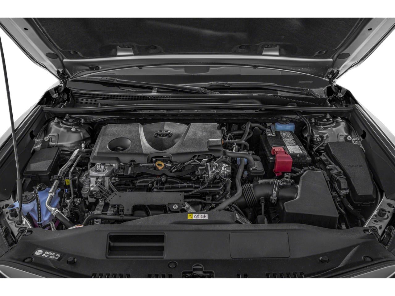 2022 Toyota Camry XLE Auto (SE)