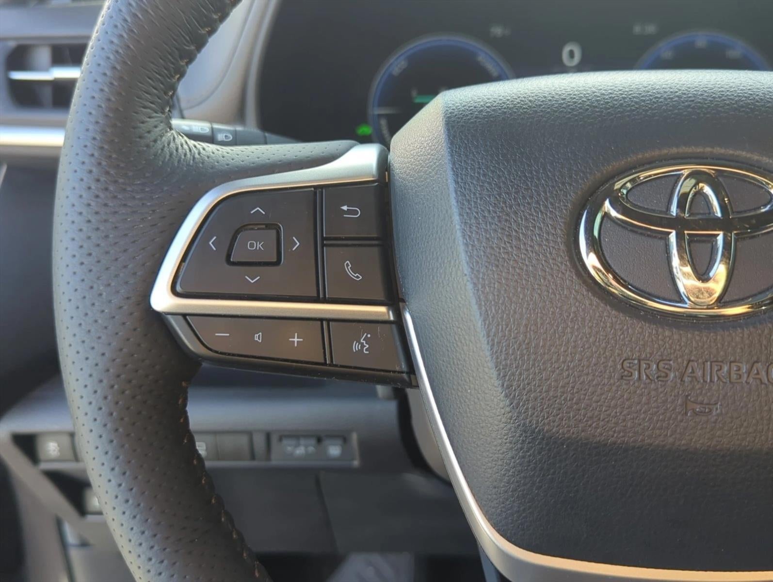 2025 Toyota Sienna Platinum FWD 7-Passenger (Natl)
