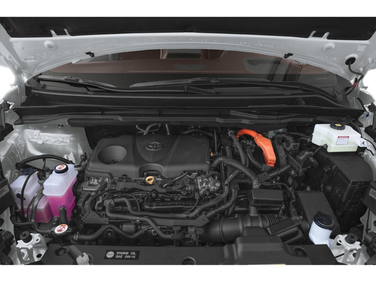 2025 Toyota Sienna Platinum FWD 7-Passenger (Natl)