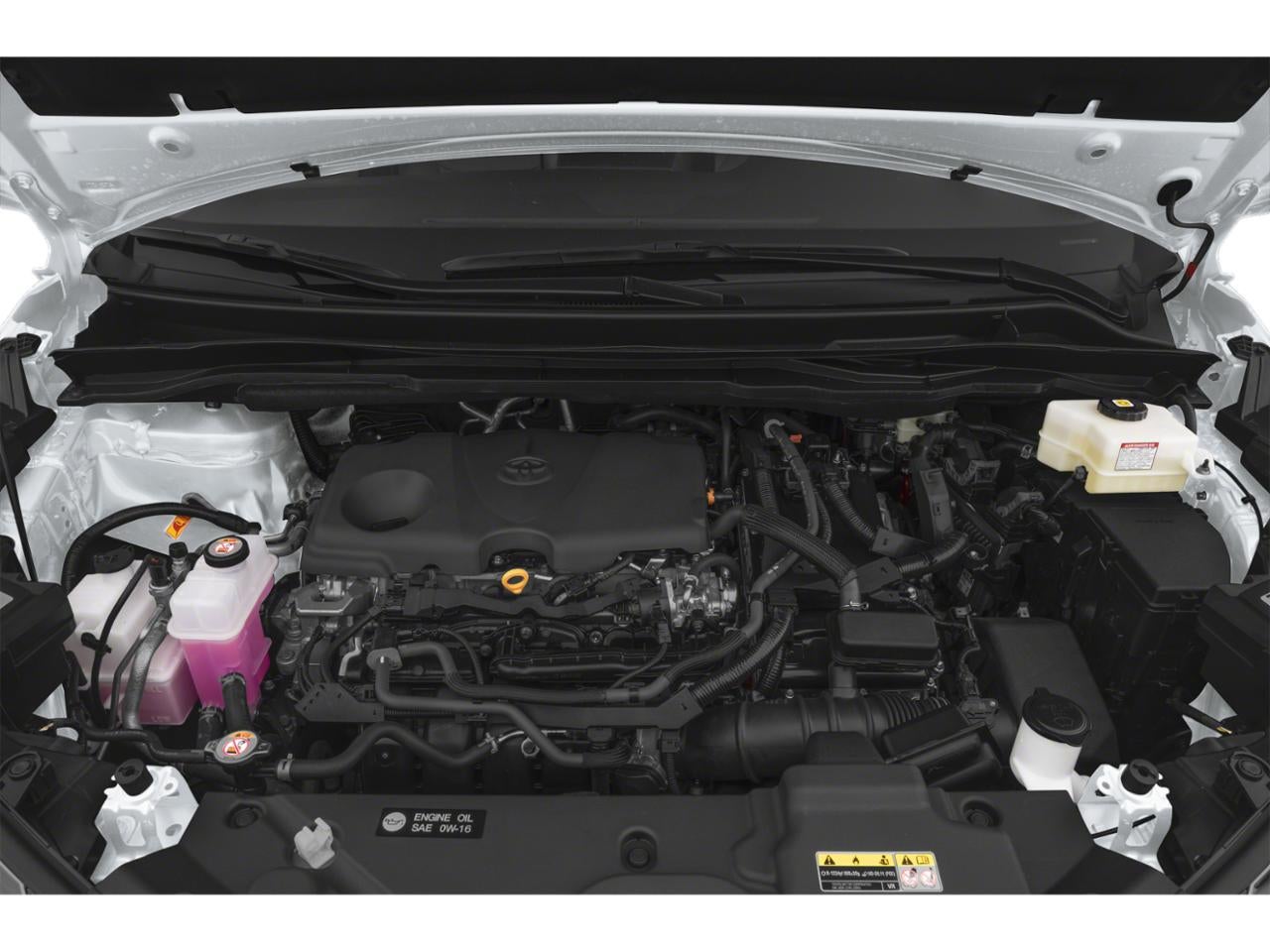 2025 Toyota Sienna XLE FWD 7-Passenger (Natl)