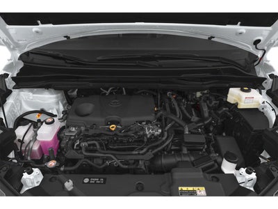 2025 Toyota Sienna XLE FWD 8-Passenger (Natl)