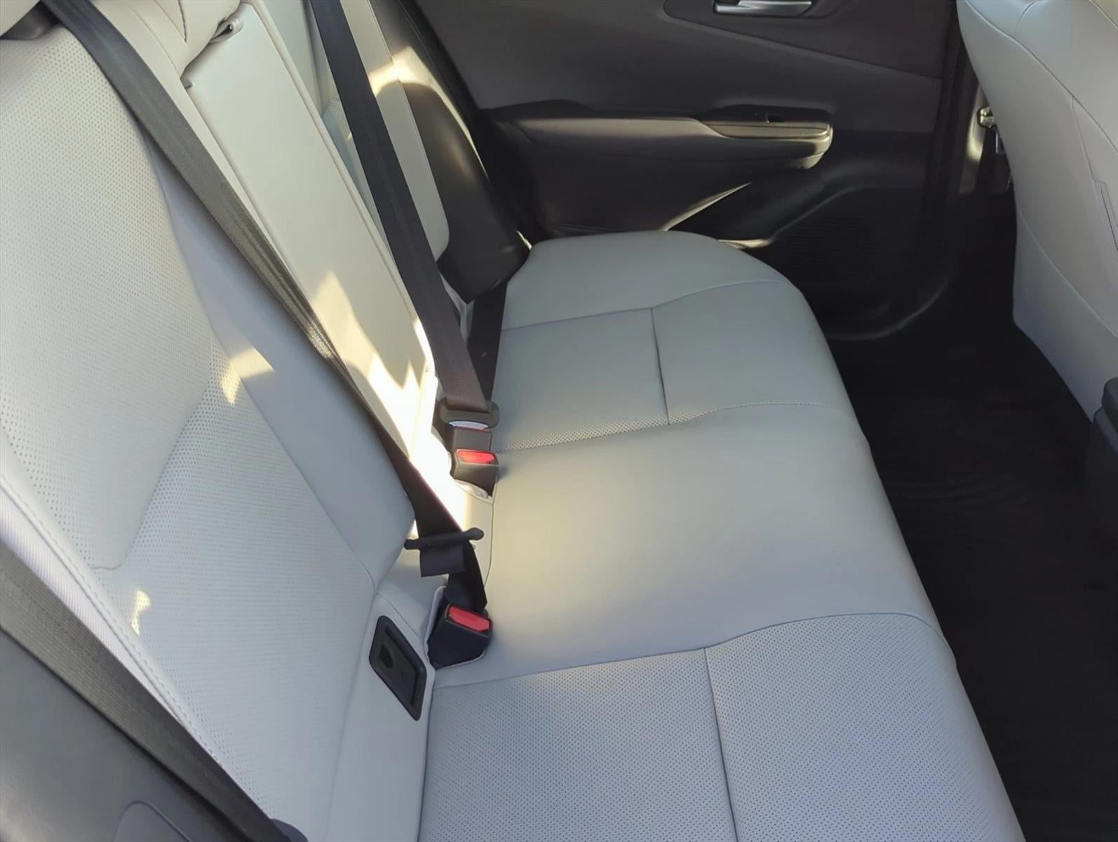 2024 Toyota Prius XLE (Natl)