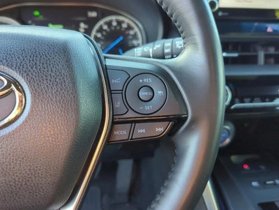 2021 Toyota Venza XLE AWD (Natl)