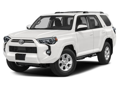 2023 Toyota 4Runner SR5 Premium 2WD (Natl)
