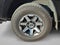 2023 Toyota 4Runner TRD Off Road Premium 4WD (Natl)