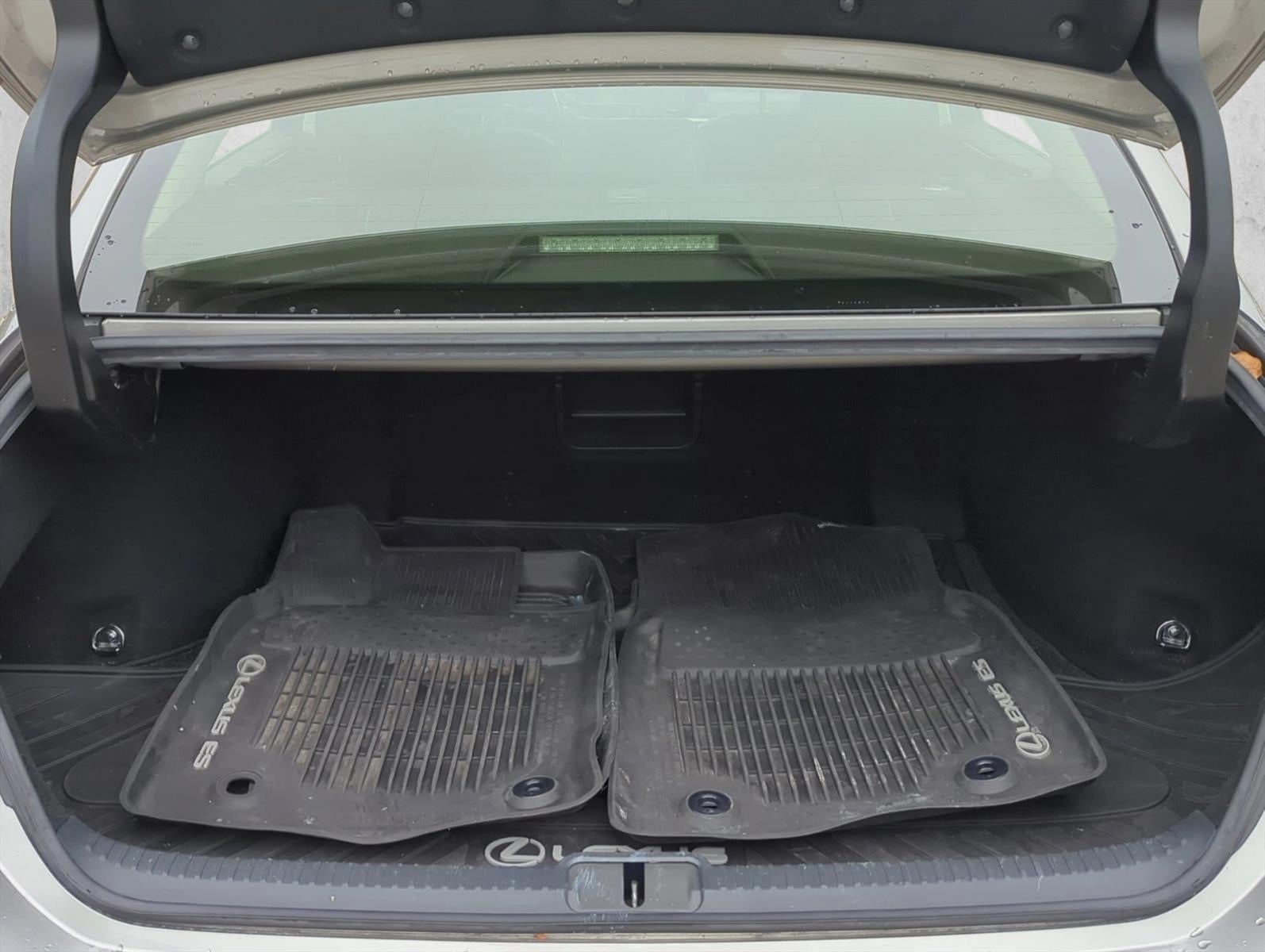 2019 Lexus ES 300h Luxury FWD