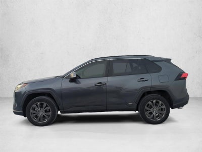 2023 Toyota RAV4 Hybrid XLE Premium AWD (Natl)