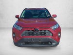 2019 Toyota RAV4 XLE AWD (Natl)