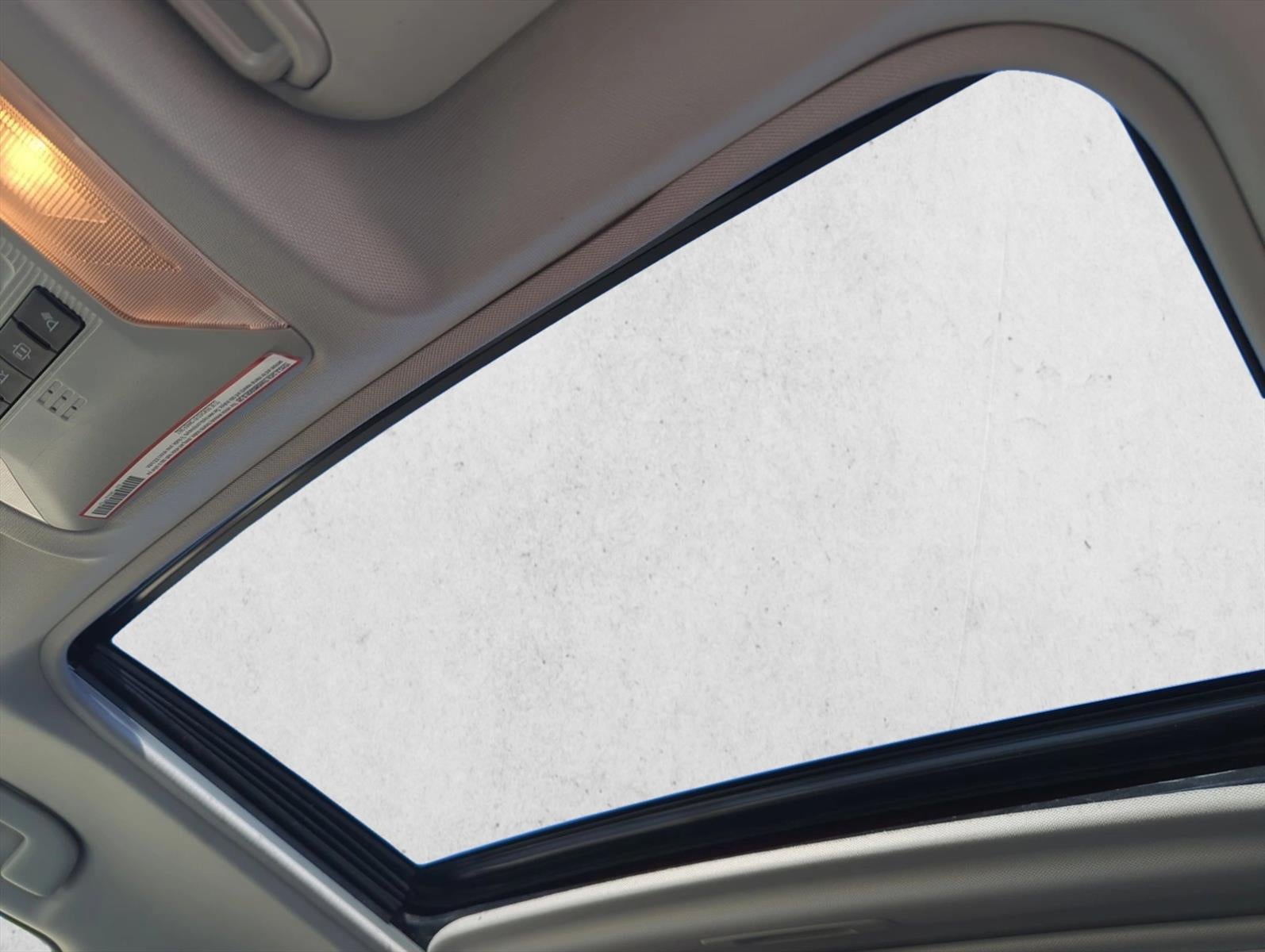 2019 Toyota RAV4 XLE AWD (Natl)