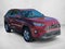 2019 Toyota RAV4 XLE AWD (Natl)