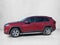 2019 Toyota RAV4 XLE AWD (Natl)